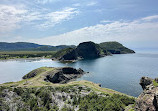 Bottle Cove