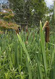 Bass Lake Provincial Park