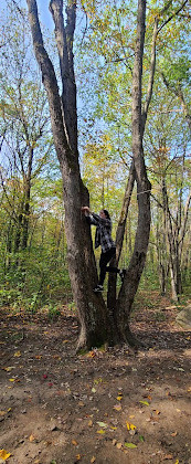 Terrain de camping du Serpent