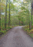 Snake Campground