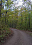 Snake Campground