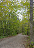 Snake Campground