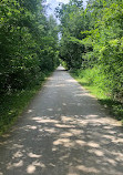 Eleventh Line Trail