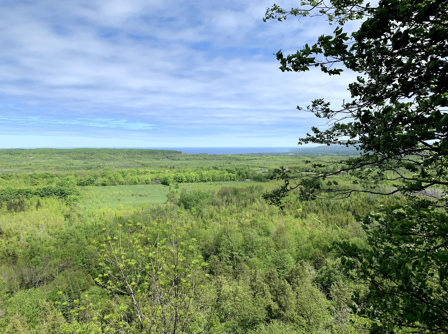 Riserva naturale provinciale della scarpata di Bayview