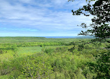 Bayview Escarpment Provinciaal Natuurreservaat