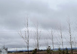 Millennium Overlook Park