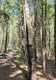 Wendat Hiking Trail