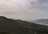 Urdaibai Biosphere Reserve