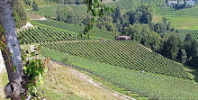 Weinkulturweg al Kollerhof