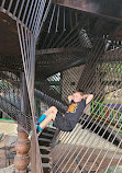 City Museum