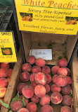 Oak Grove Plantation at Union Square Greenmarket