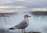 Horseshoe Falls