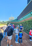 Wrigley Field