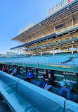 Wrigley Field