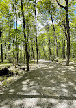 Bois de Belle-Rivière regional educational park