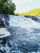 Parc régional de la Rivière-du-Nord | Chutes Wilson (baignade interdite)