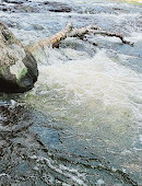 Parc régional de la Rivière-du-Nord | Chutes Wilson (baignade interdite)