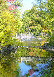 Parc régional de la Rivière-du-Nord | Chutes Wilson (baignade interdite)