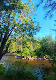Parque Regional Rivière-du-Nord | Wilson Falls (prohibido nadar)
