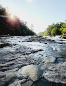 Parc régional de la Rivière-du-Nord | Chutes Wilson (baignade interdite)