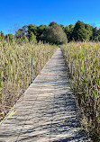 Parc régional de la Rivière-du-Nord | Chutes Wilson (baignade interdite)