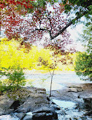 Parc régional de la Rivière-du-Nord | Chutes Wilson (baignade interdite)