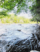 Parc régional de la Rivière-du-Nord | Chutes Wilson (baignade interdite)