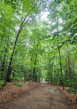 Parc régional de la Rivière-du-Nord | Chutes Wilson (baignade interdite)