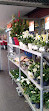 Migros-Supermarkt - Hinwil