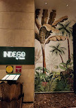 Indego by Vineet