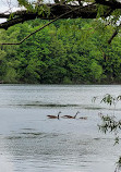 Heart Lake Conservation Park