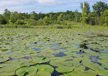 Heart Lake Conservation Park