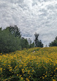 Heart Lake Conservation Park