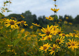 Heart Lake Conservation Park