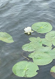 Heart Lake Conservation Park