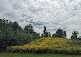 Heart Lake Conservation Park