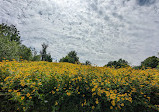 Heart Lake Conservation Park