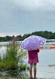 Heart Lake Conservation Park