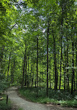 Heart Lake Conservation Park