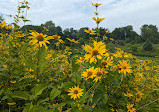 Heart Lake Conservation Park