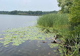 Heart Lake Conservation Park