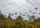 Heart Lake Conservation Park