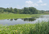 Heart Lake Conservation Park