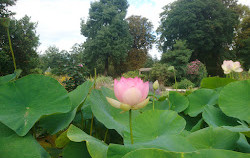 Giardino della Scuola di Botanica