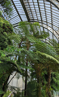 Giardino della Scuola di Botanica