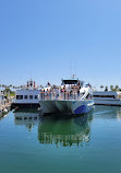 Harbor Breeze Cruises