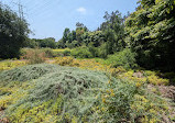 El Dorado Nature Center