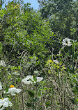 El Dorado Nature Center