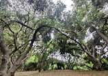 El Dorado Nature Center