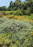 El Dorado Nature Center